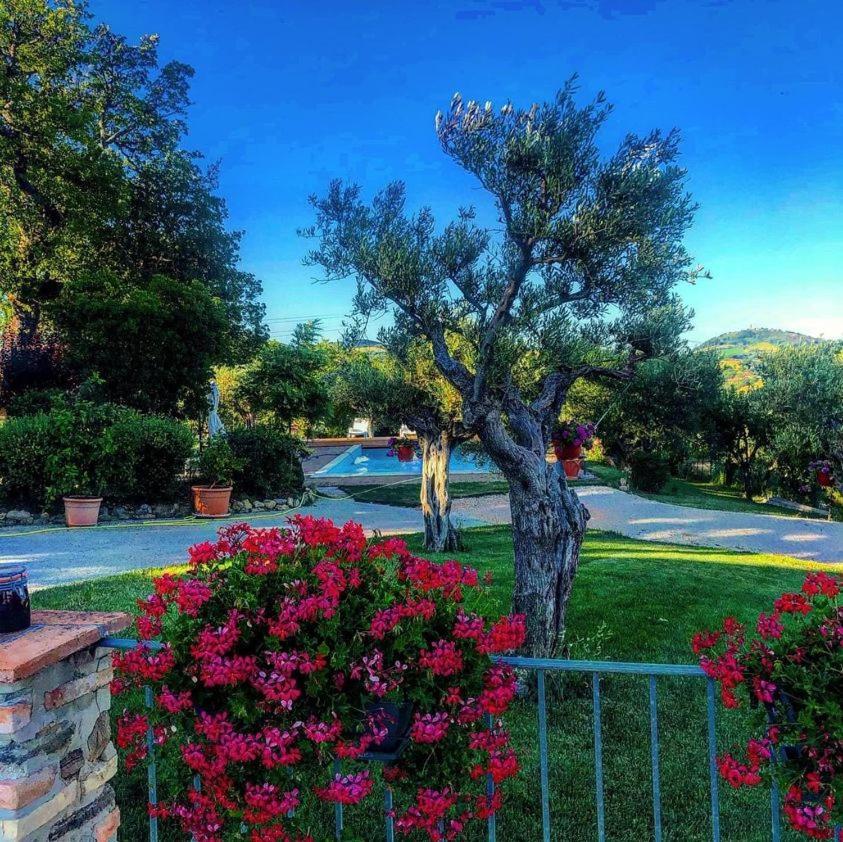 Casale Il Cerqueto Bed & Breakfast San Severino Marche Ngoại thất bức ảnh