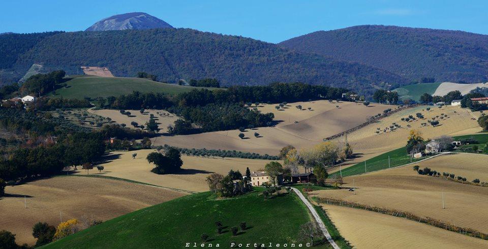 Casale Il Cerqueto Bed & Breakfast San Severino Marche Ngoại thất bức ảnh