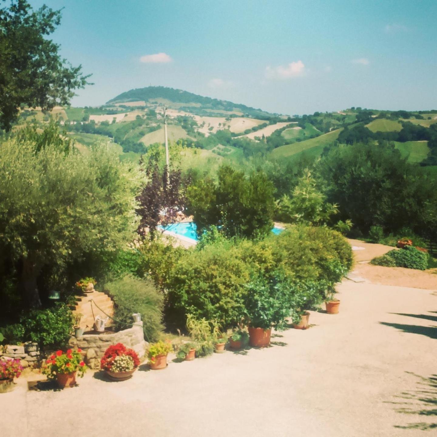 Casale Il Cerqueto Bed & Breakfast San Severino Marche Phòng bức ảnh