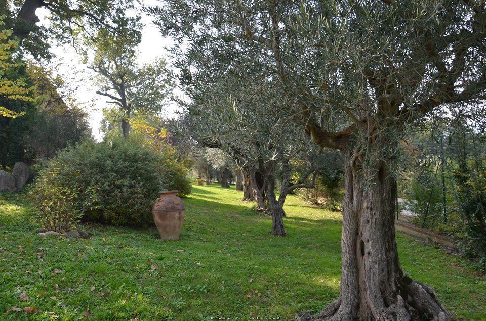 Casale Il Cerqueto Bed & Breakfast San Severino Marche Ngoại thất bức ảnh