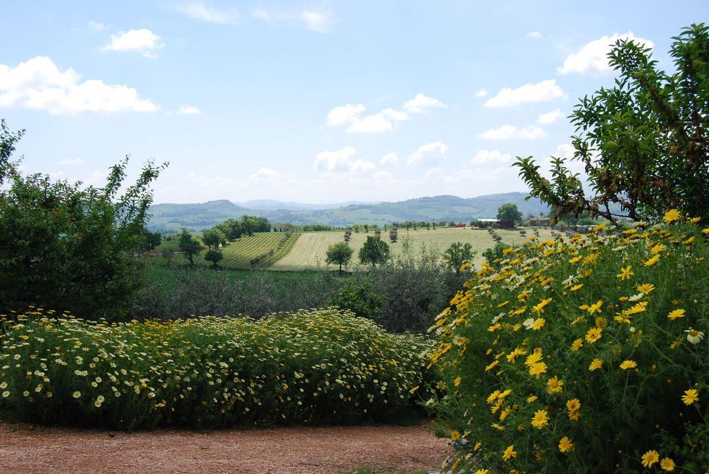 Casale Il Cerqueto Bed & Breakfast San Severino Marche Ngoại thất bức ảnh