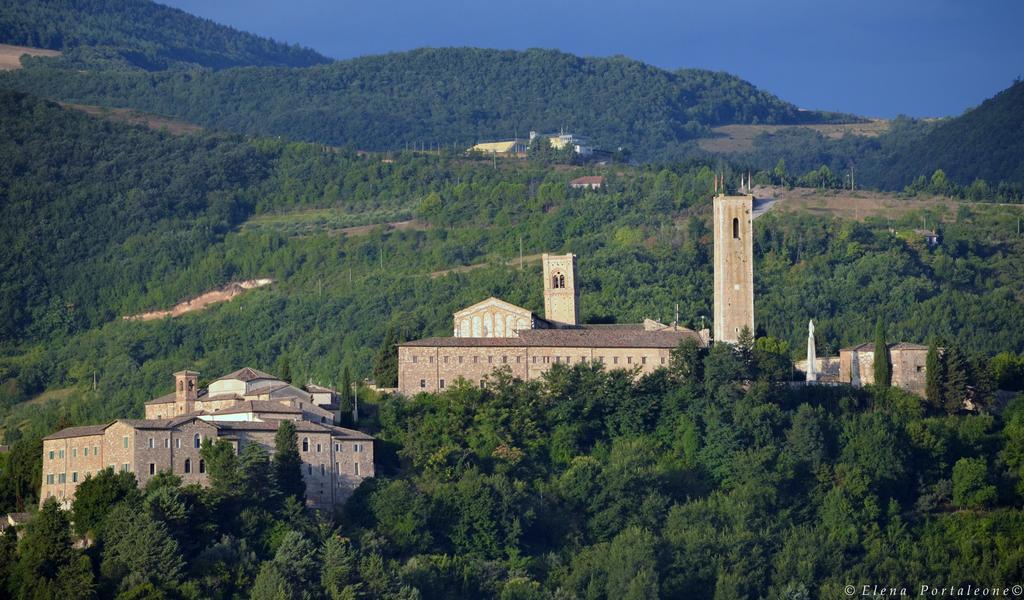 Casale Il Cerqueto Bed & Breakfast San Severino Marche Ngoại thất bức ảnh