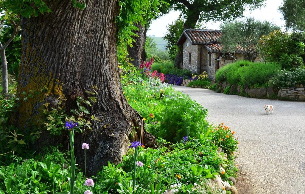 Casale Il Cerqueto Bed & Breakfast San Severino Marche Ngoại thất bức ảnh