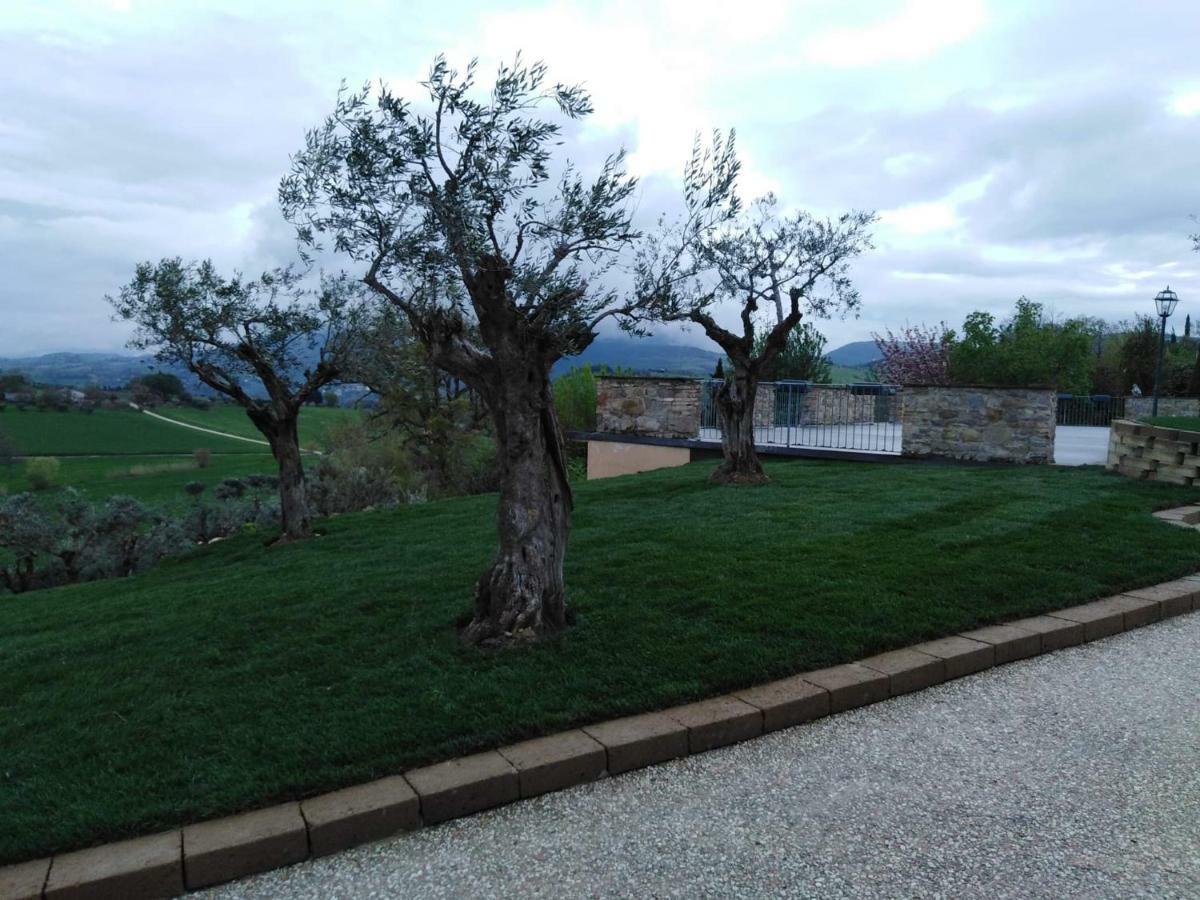 Casale Il Cerqueto Bed & Breakfast San Severino Marche Ngoại thất bức ảnh